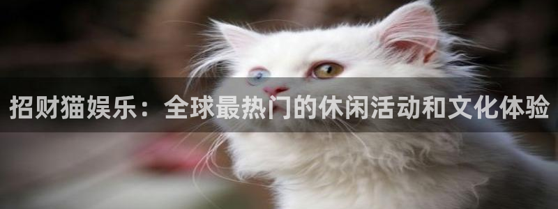 蓝图娱乐平台主管