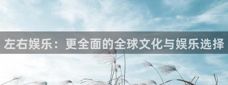 蓝图娱乐