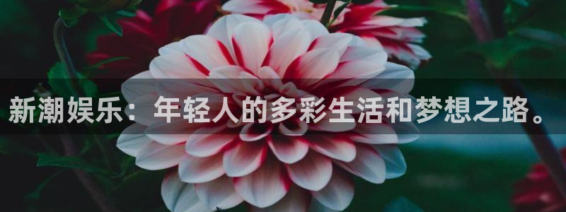 蓝图娱乐平台