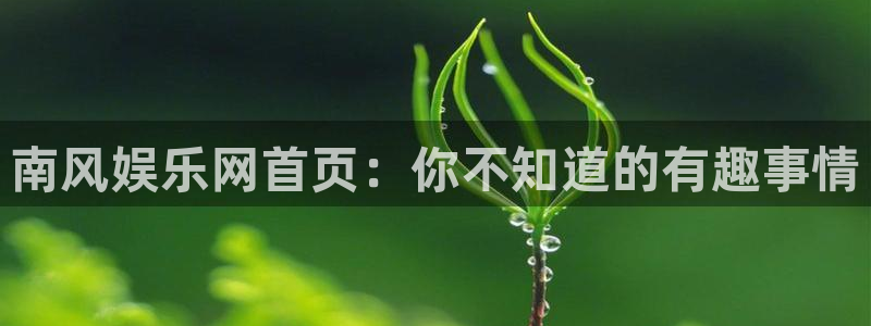 蓝图娱乐官网入口