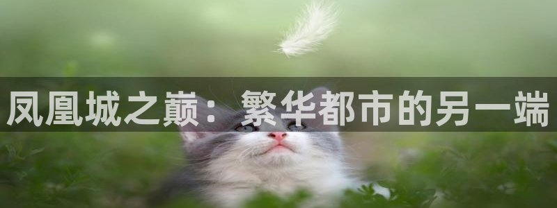 蓝图娱乐