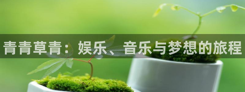 蓝图娱乐