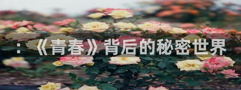 蓝图娱乐